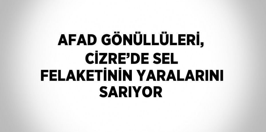 AFAD GÖNÜLLÜLERİ, CİZRE’DE SEL FELAKETİNİN YARALARINI SARIYOR