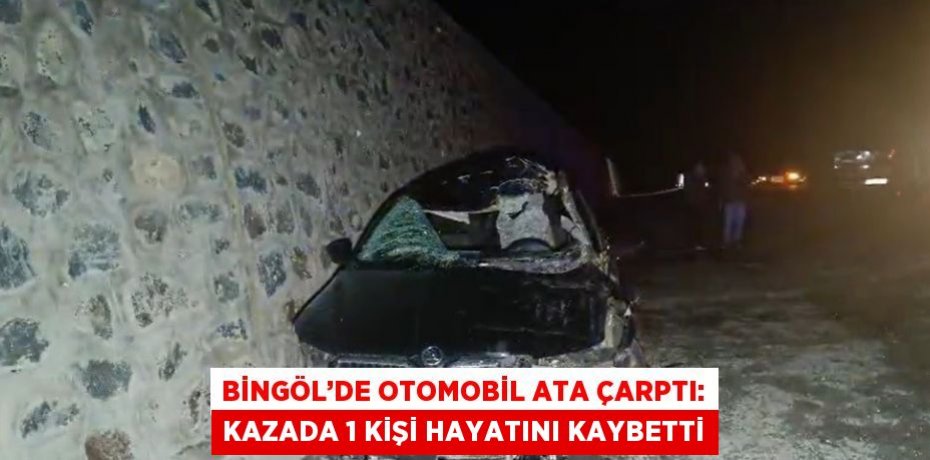 BİNGÖL’DE OTOMOBİL ATA ÇARPTI: KAZADA 1 KİŞİ HAYATINI KAYBETTİ