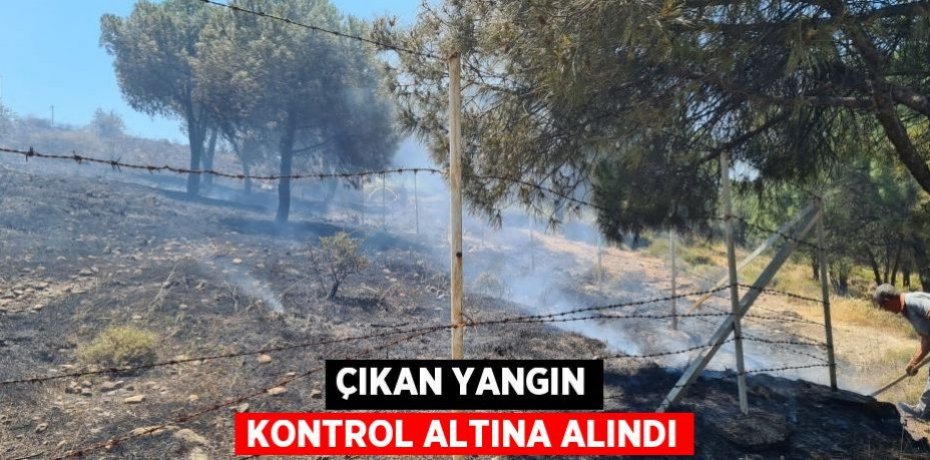 Çıkan yangın kontrol altına alındı