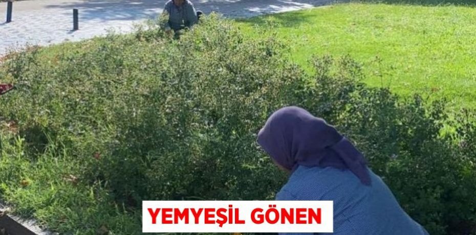 Yemyeşil Gönen