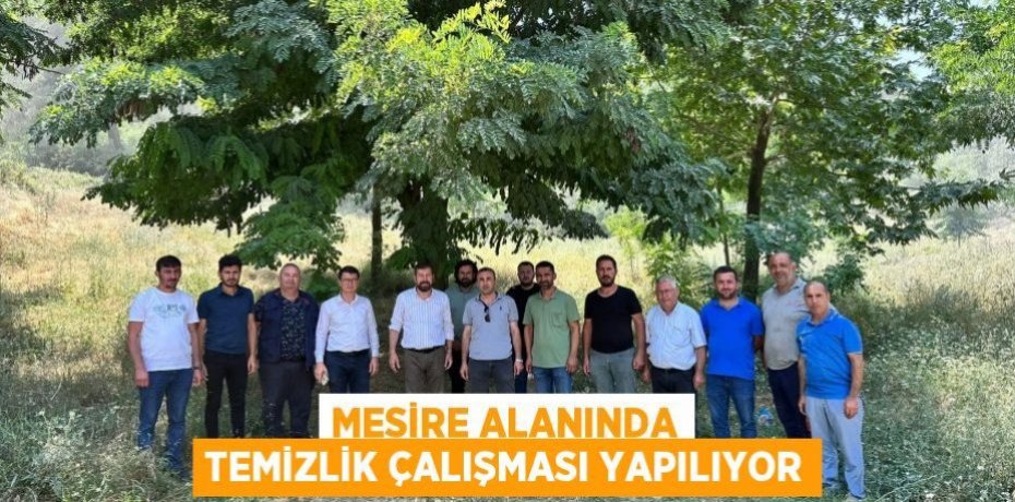 Mesire Alanında Temizlik Çalışması Yapılıyor