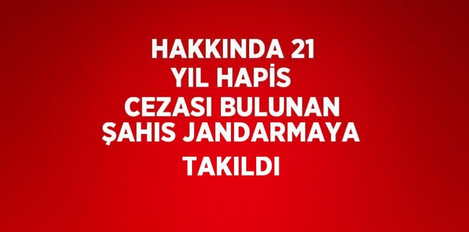 HAKKINDA 21 YIL HAPİS CEZASI BULUNAN ŞAHIS JANDARMAYA TAKILDI