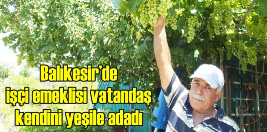 Balıkesir’de işçi emeklisi vatandaş kendini yeşile adadı