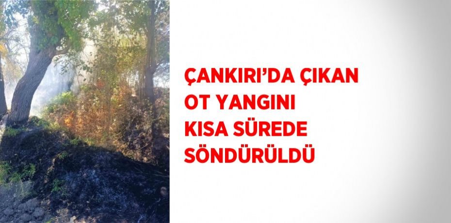 ÇANKIRI’DA ÇIKAN OT YANGINI KISA SÜREDE SÖNDÜRÜLDÜ