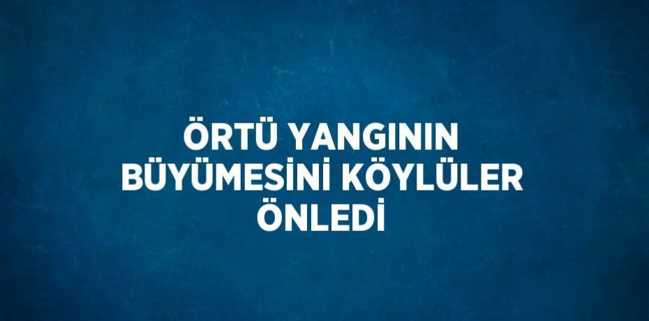 ÖRTÜ YANGININ BÜYÜMESİNİ KÖYLÜLER ÖNLEDİ