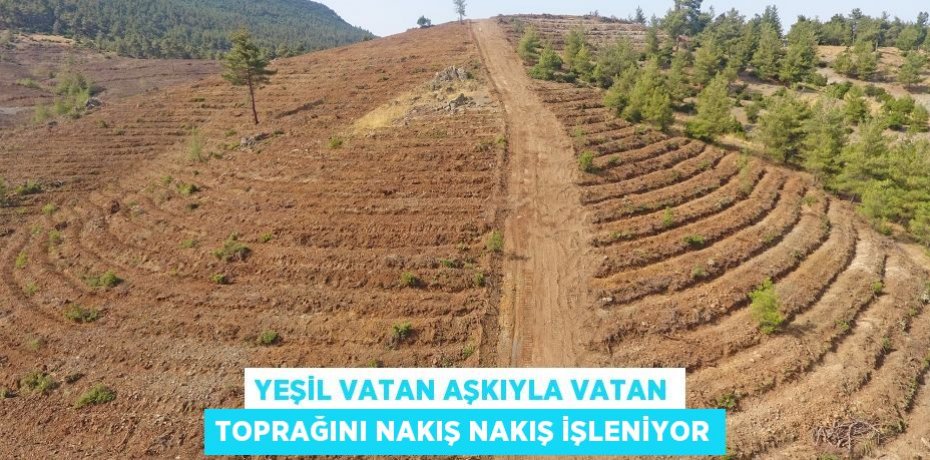 Yeşil Vatan Aşkıyla Vatan Toprağını Nakış Nakış İşleniyor