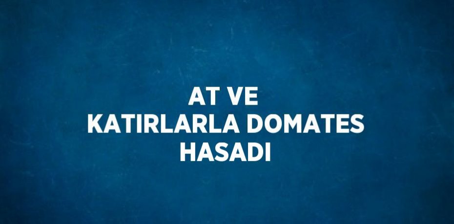 AT VE KATIRLARLA DOMATES HASADI