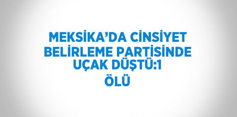 MEKSİKA’DA CİNSİYET BELİRLEME PARTİSİNDE UÇAK DÜŞTÜ:1 ÖLÜ