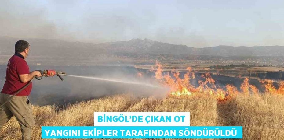 BİNGÖL’DE ÇIKAN OT YANGINI EKİPLER TARAFINDAN SÖNDÜRÜLDÜ