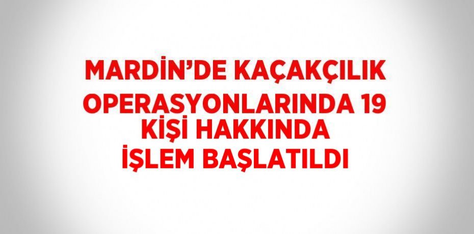 MARDİN’DE KAÇAKÇILIK OPERASYONLARINDA 19 KİŞİ HAKKINDA İŞLEM BAŞLATILDI