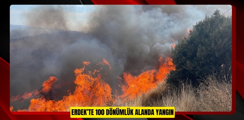 Erdek’te 100 dönümlük alanda yangın
