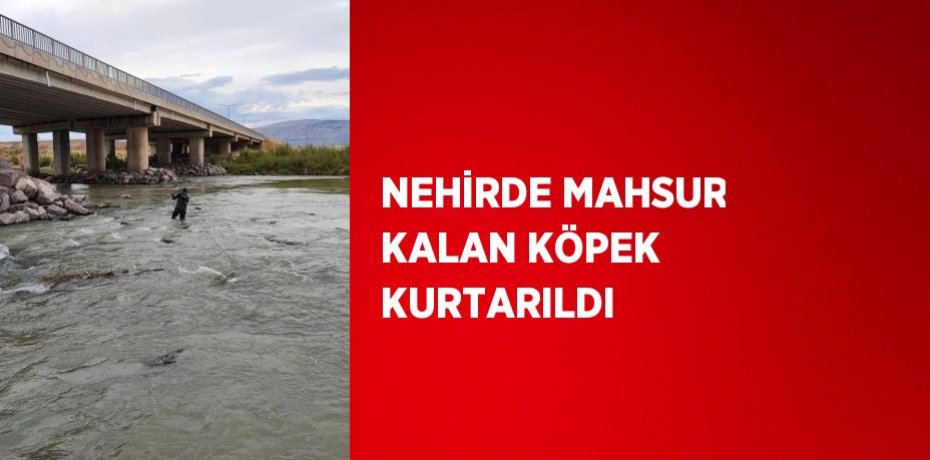 NEHİRDE MAHSUR KALAN KÖPEK KURTARILDI