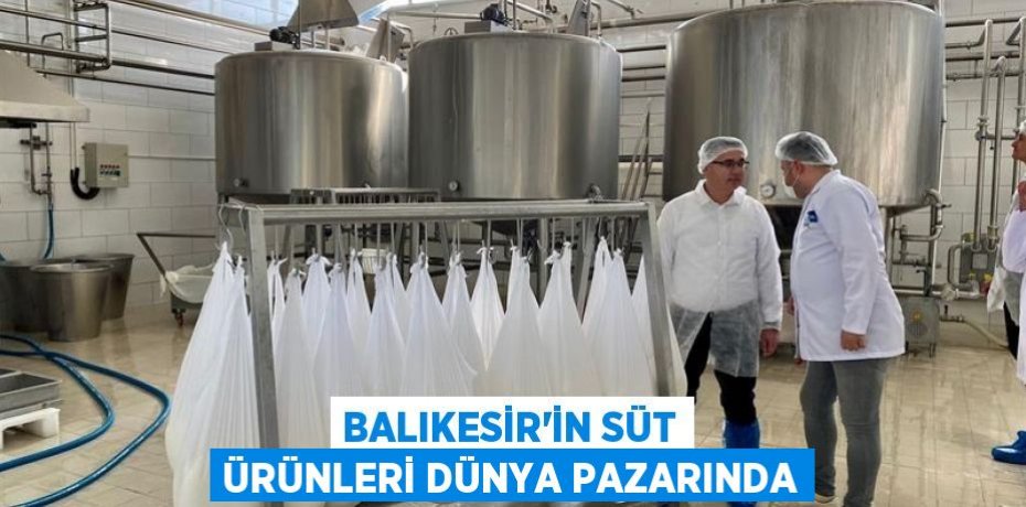 Balıkesir'in Süt Ürünleri Dünya Pazarında