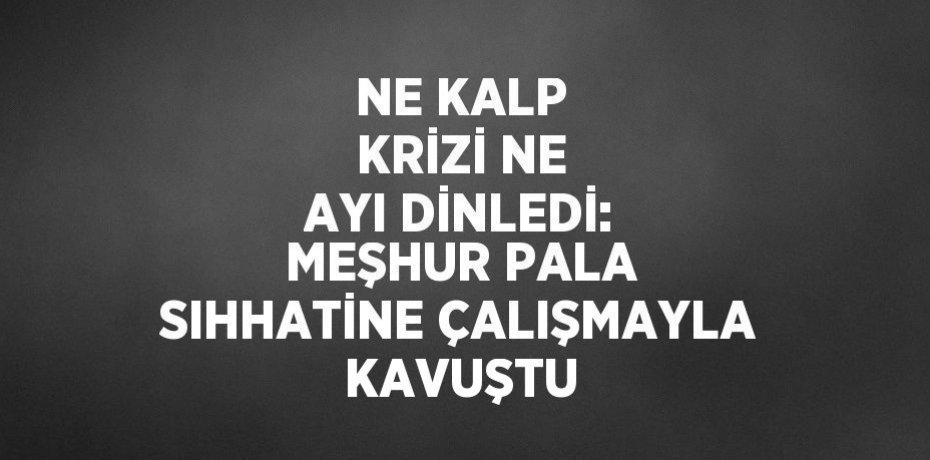 NE KALP KRİZİ NE AYI DİNLEDİ: MEŞHUR PALA SIHHATİNE ÇALIŞMAYLA KAVUŞTU