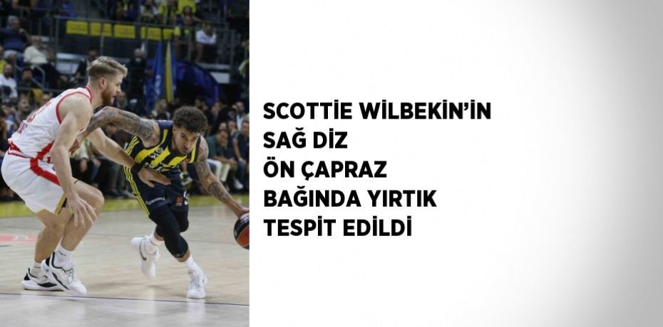 SCOTTİE WİLBEKİN’İN SAĞ DİZ ÖN ÇAPRAZ BAĞINDA YIRTIK TESPİT EDİLDİ