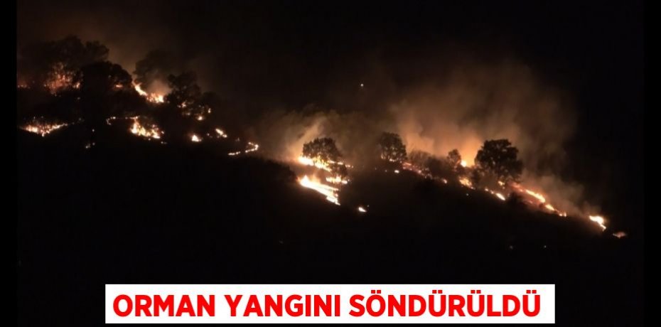 ORMAN YANGINI SÖNDÜRÜLDÜ