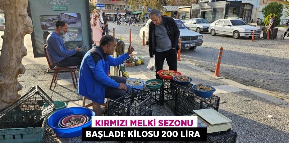 KIRMIZI MELKİ SEZONU BAŞLADI: KİLOSU 200 LİRA 