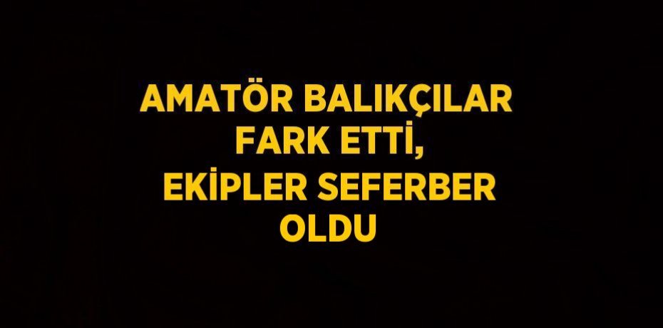 AMATÖR BALIKÇILAR FARK ETTİ, EKİPLER SEFERBER OLDU