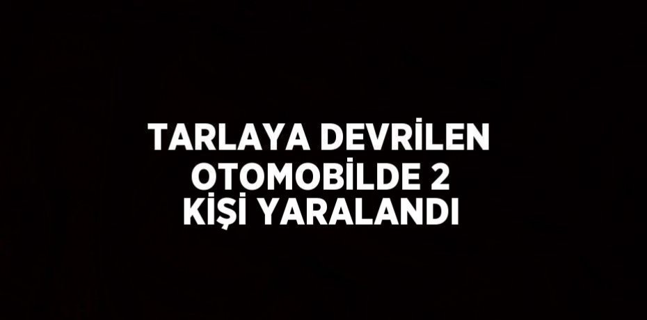 TARLAYA DEVRİLEN OTOMOBİLDE 2 KİŞİ YARALANDI