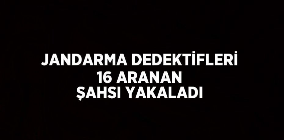 JANDARMA DEDEKTİFLERİ 16 ARANAN ŞAHSI YAKALADI