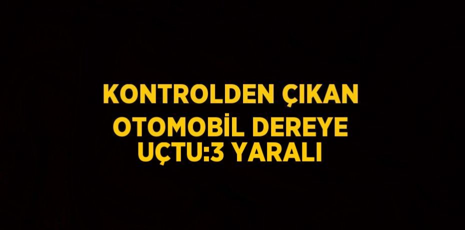 KONTROLDEN ÇIKAN OTOMOBİL DEREYE UÇTU:3 YARALI