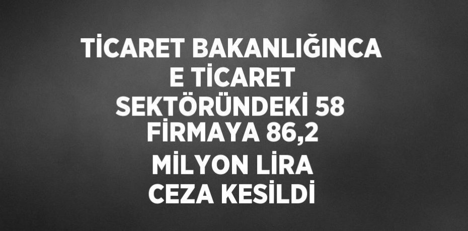 TİCARET BAKANLIĞINCA E TİCARET SEKTÖRÜNDEKİ 58 FİRMAYA 86,2 MİLYON LİRA CEZA KESİLDİ