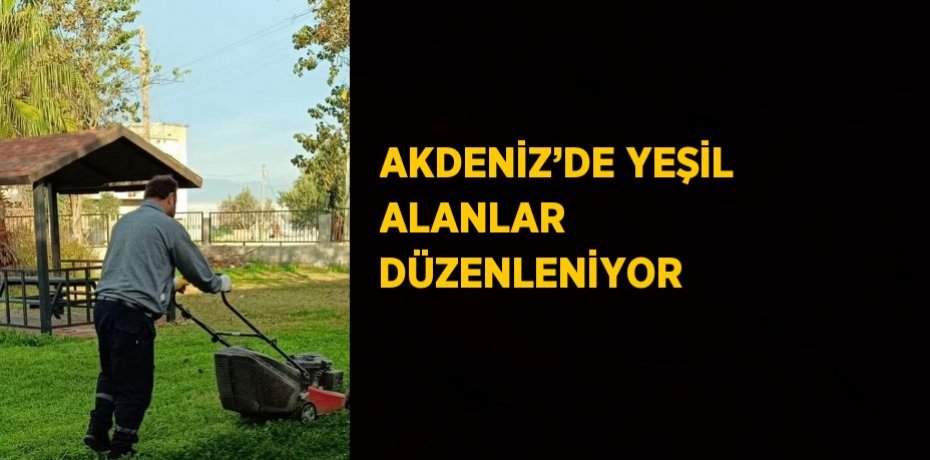 AKDENİZ’DE YEŞİL ALANLAR DÜZENLENİYOR