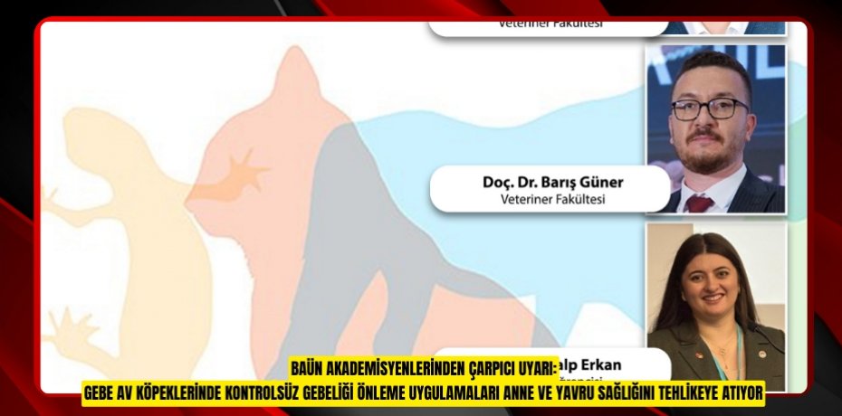 BAÜN AKADEMİSYENLERİNDEN ÇARPICI UYARI: GEBE AV KÖPEKLERİNDE KONTROLSÜZ GEBELİĞİ ÖNLEME UYGULAMALARI ANNE VE YAVRU SAĞLIĞINI TEHLİKEYE ATIYOR