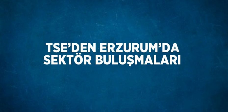 TSE’DEN ERZURUM’DA SEKTÖR BULUŞMALARI