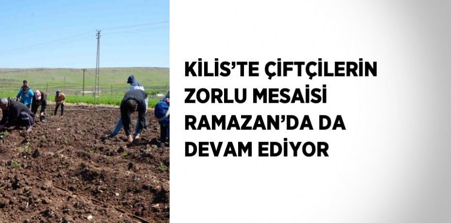 KİLİS’TE ÇİFTÇİLERİN ZORLU MESAİSİ RAMAZAN’DA DA DEVAM EDİYOR