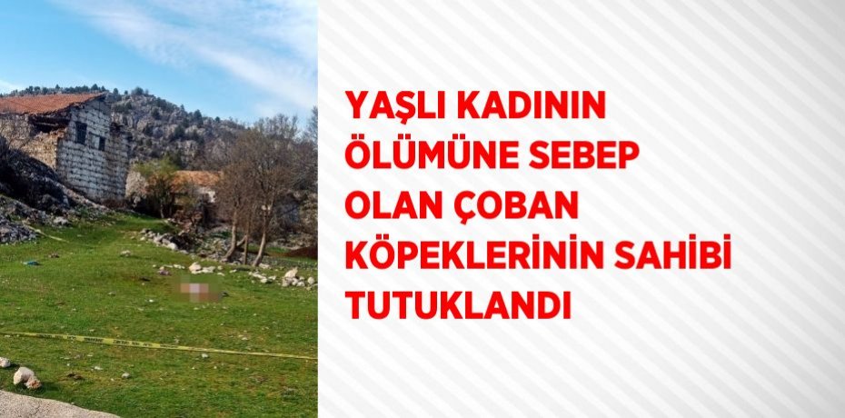 YAŞLI KADININ ÖLÜMÜNE SEBEP OLAN ÇOBAN KÖPEKLERİNİN SAHİBİ TUTUKLANDI