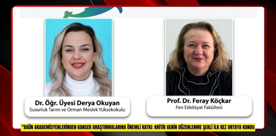 BAÜN AKADEMİSYENLERİNDEN KANSER ARAŞTIRMALARINA ÖNEMLİ KATKI: KRİTİK GENİN DÜZENLENME ŞEKLİ İLK KEZ ORTAYA KONDU
