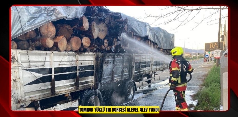 Tomruk yüklü TIR dorsesi alevel alev yandı  