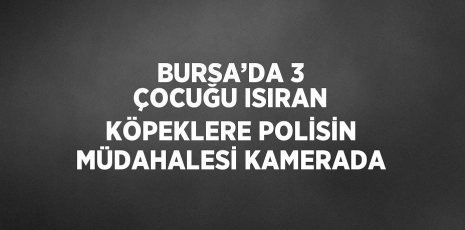 BURSA’DA 3 ÇOCUĞU ISIRAN KÖPEKLERE POLİSİN MÜDAHALESİ KAMERADA