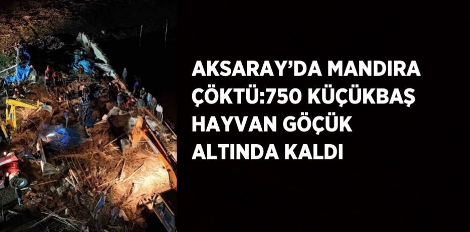 AKSARAY’DA MANDIRA ÇÖKTÜ:750 KÜÇÜKBAŞ HAYVAN GÖÇÜK ALTINDA KALDI