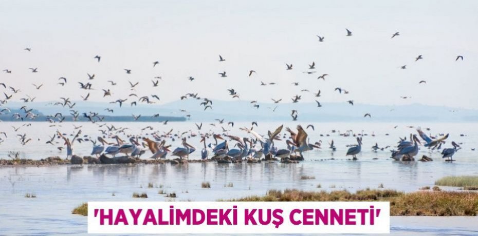 “Hayalimdeki Kuş Cenneti”