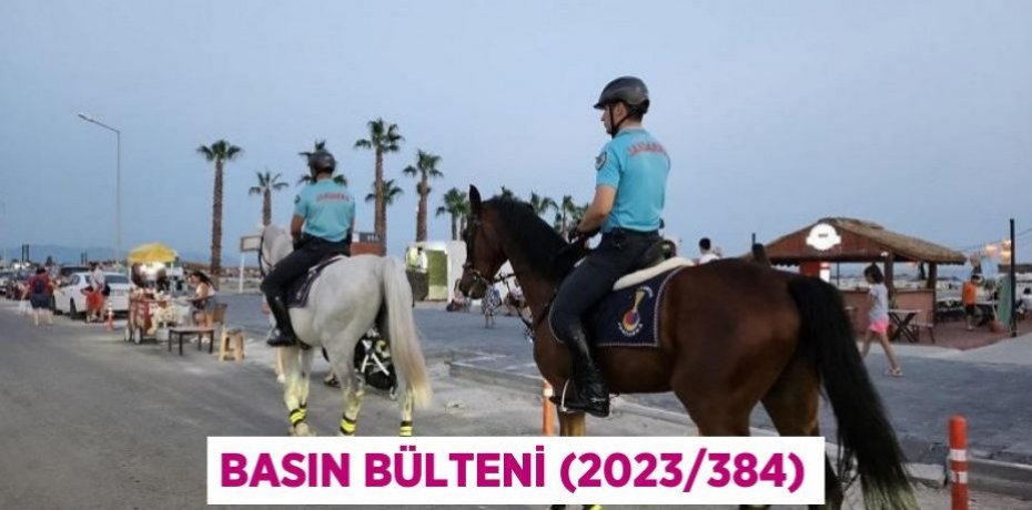 Basın Bülteni (2023/384)