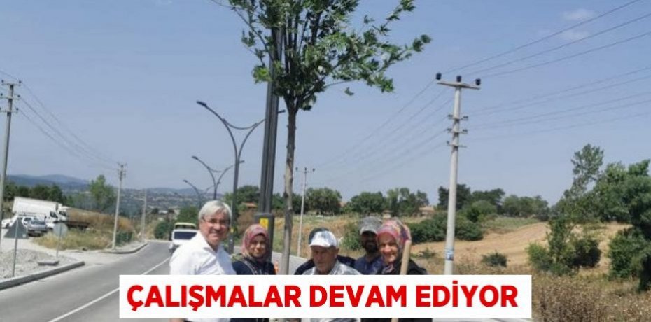 Çalışmalar devam ediyor