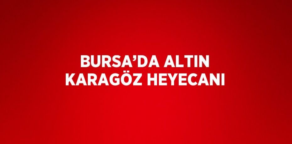 BURSA’DA ALTIN KARAGÖZ HEYECANI