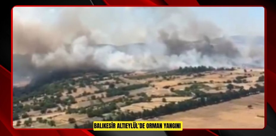 Balıkesir Altıeylül'de orman yangını  