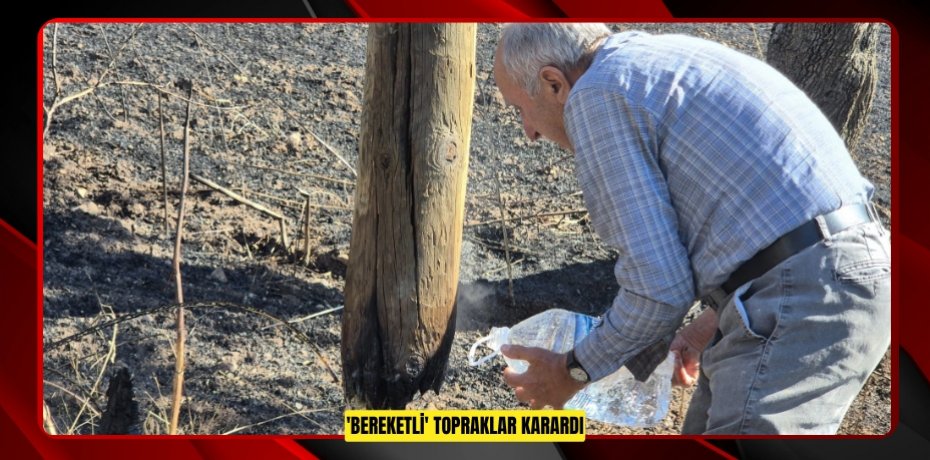 'Bereketli' topraklar karardı  