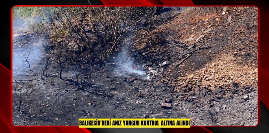 Balıkesir'deki anız yangını kontrol altına alındı  