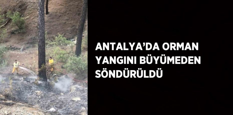 ANTALYA’DA ORMAN YANGINI BÜYÜMEDEN SÖNDÜRÜLDÜ