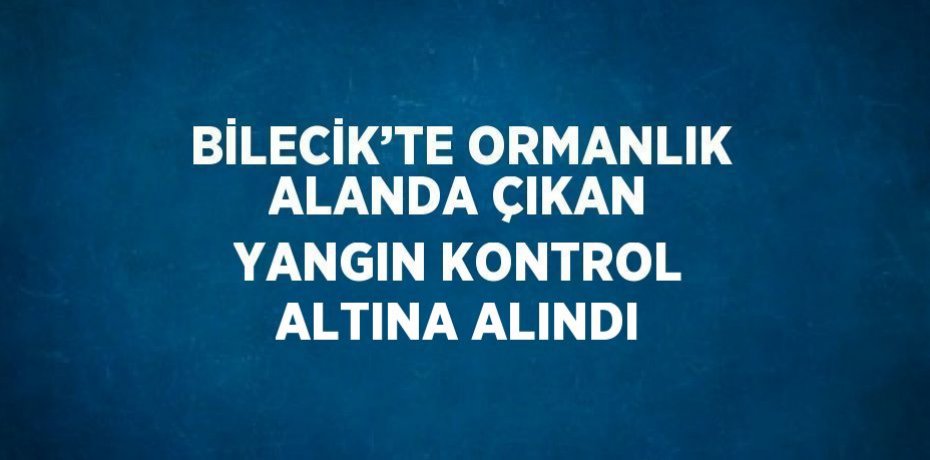 BİLECİK’TE ORMANLIK ALANDA ÇIKAN YANGIN KONTROL ALTINA ALINDI