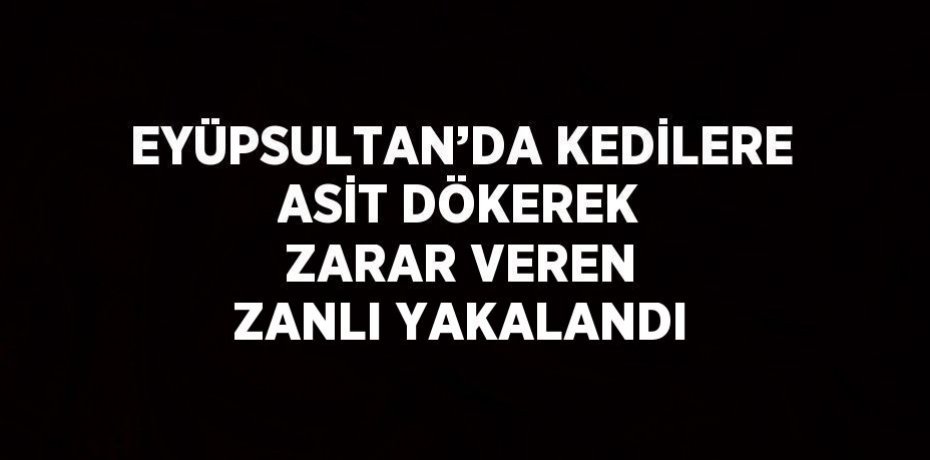 EYÜPSULTAN’DA KEDİLERE ASİT DÖKEREK ZARAR VEREN ZANLI YAKALANDI