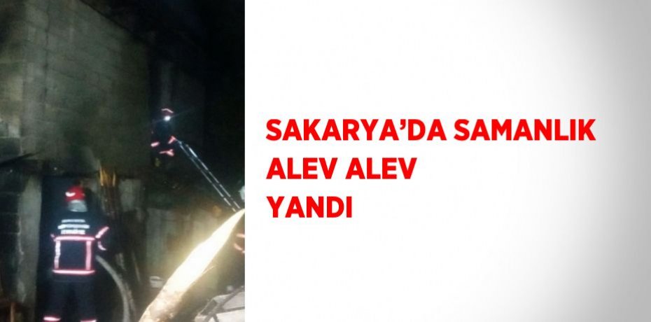 SAKARYA’DA SAMANLIK ALEV ALEV YANDI