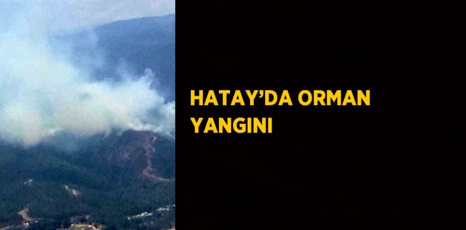 HATAY’DA ORMAN YANGINI