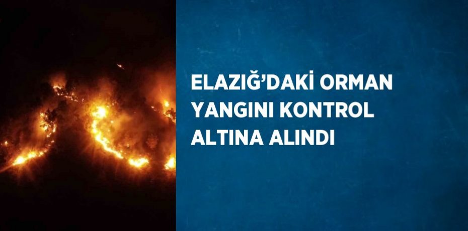 ELAZIĞ’DAKİ ORMAN YANGINI KONTROL ALTINA ALINDI