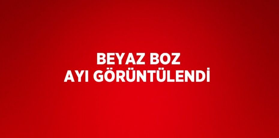 BEYAZ BOZ AYI GÖRÜNTÜLENDİ