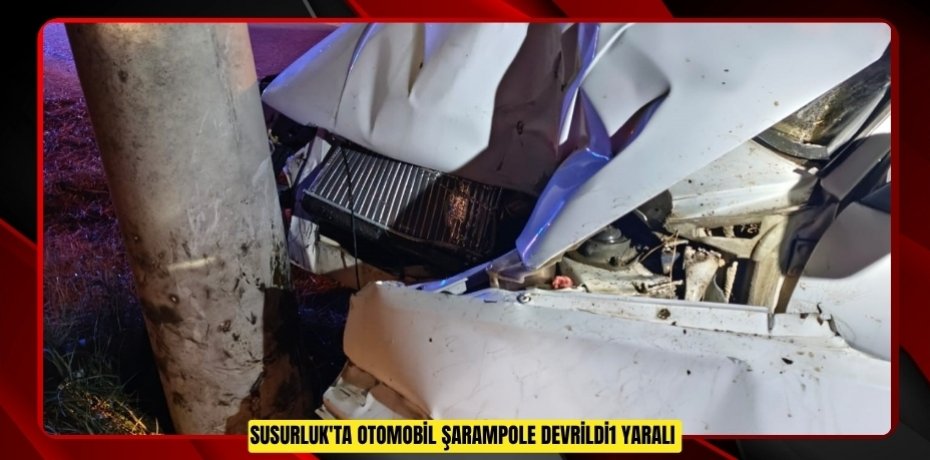 Susurluk'ta otomobil şarampole devrildi:1 yaralı  